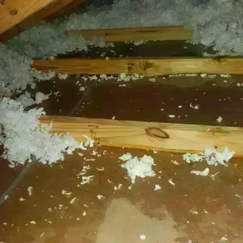 Attic Water Damage in Harvest, AL